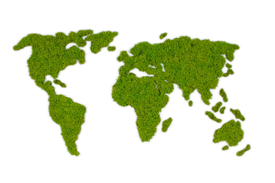 Dekorativni mah jelenov lišaj skandinavski mah zelene stene zelena stena zemljevid sveta karta sveta