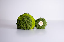 Load image into Gallery viewer, Moss ball 25cm
