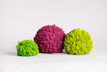 Load image into Gallery viewer, Moss ball 12 cm
