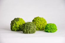 Load image into Gallery viewer, Moss ball 25cm
