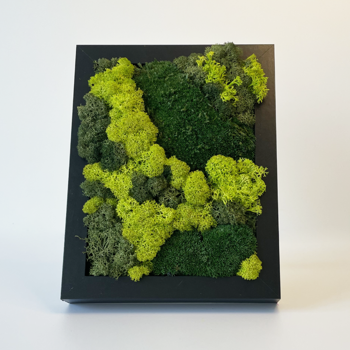 Mini premium moss picture