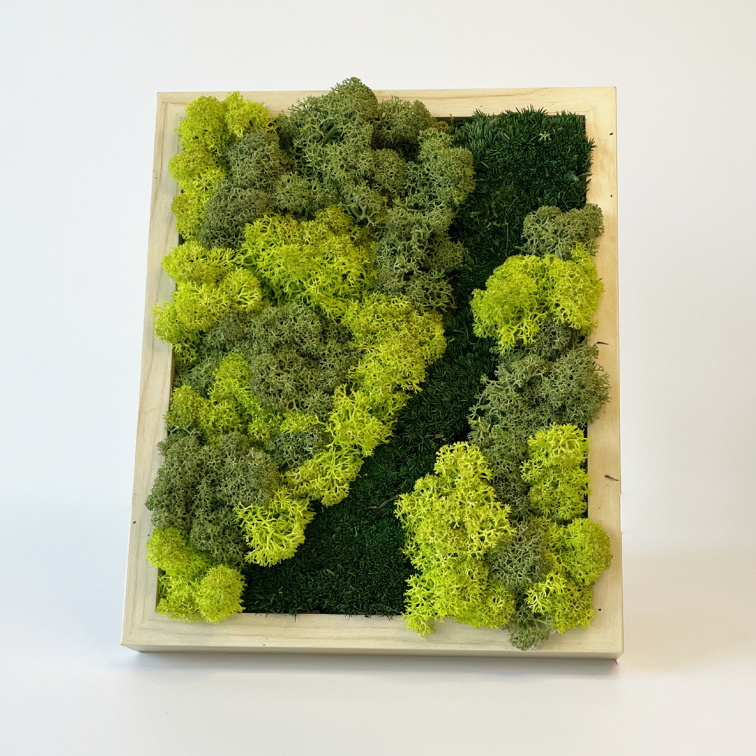 Mini premium moss picture
