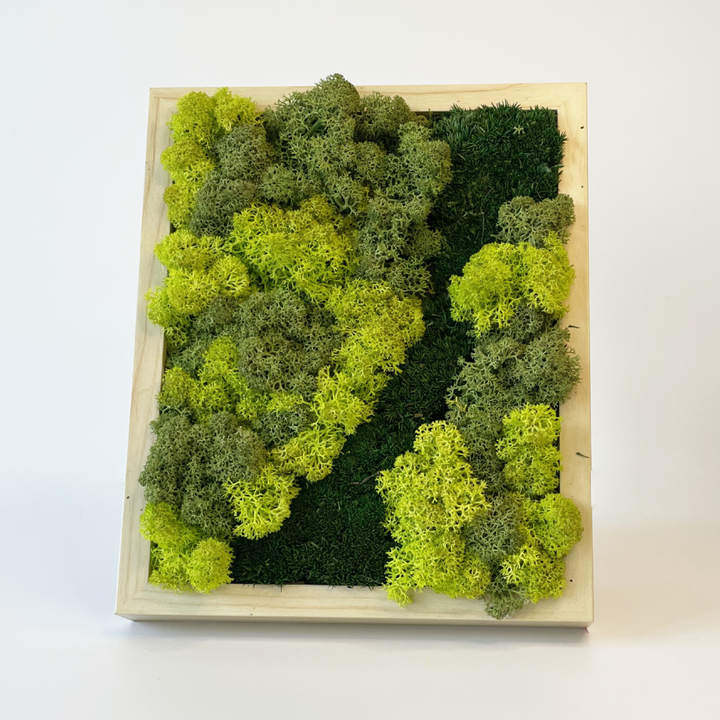 Mini premium moss picture