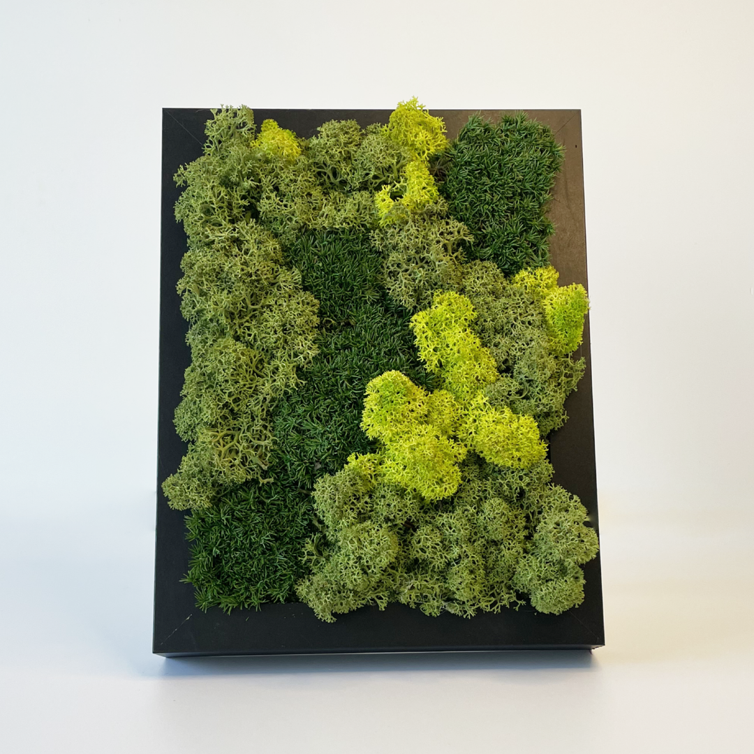 Mini premium moss picture