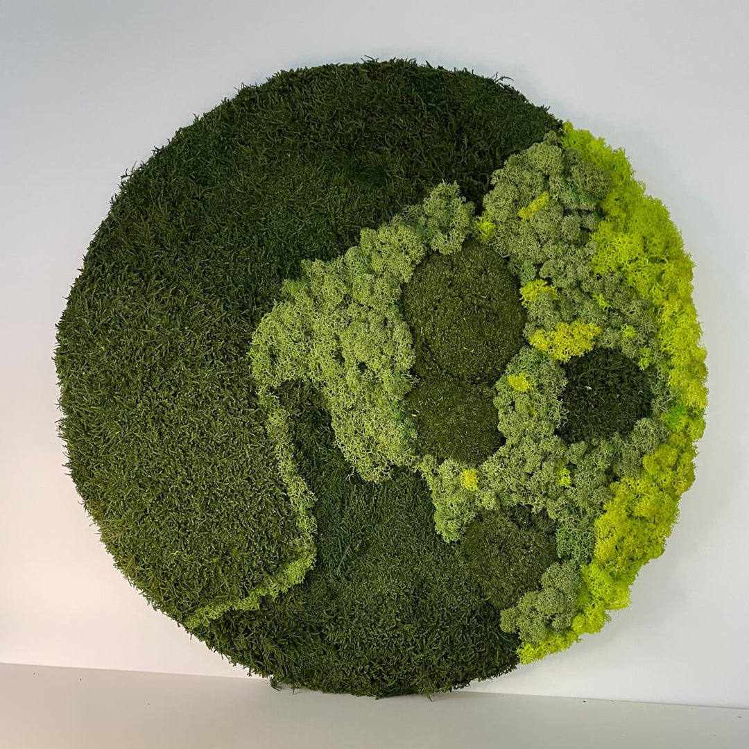 moss circle