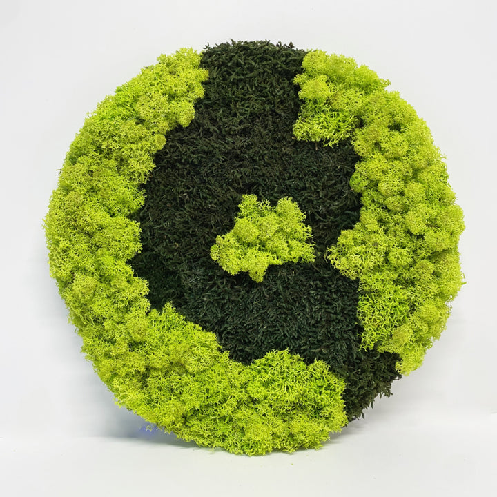 Premium krog iz mahu