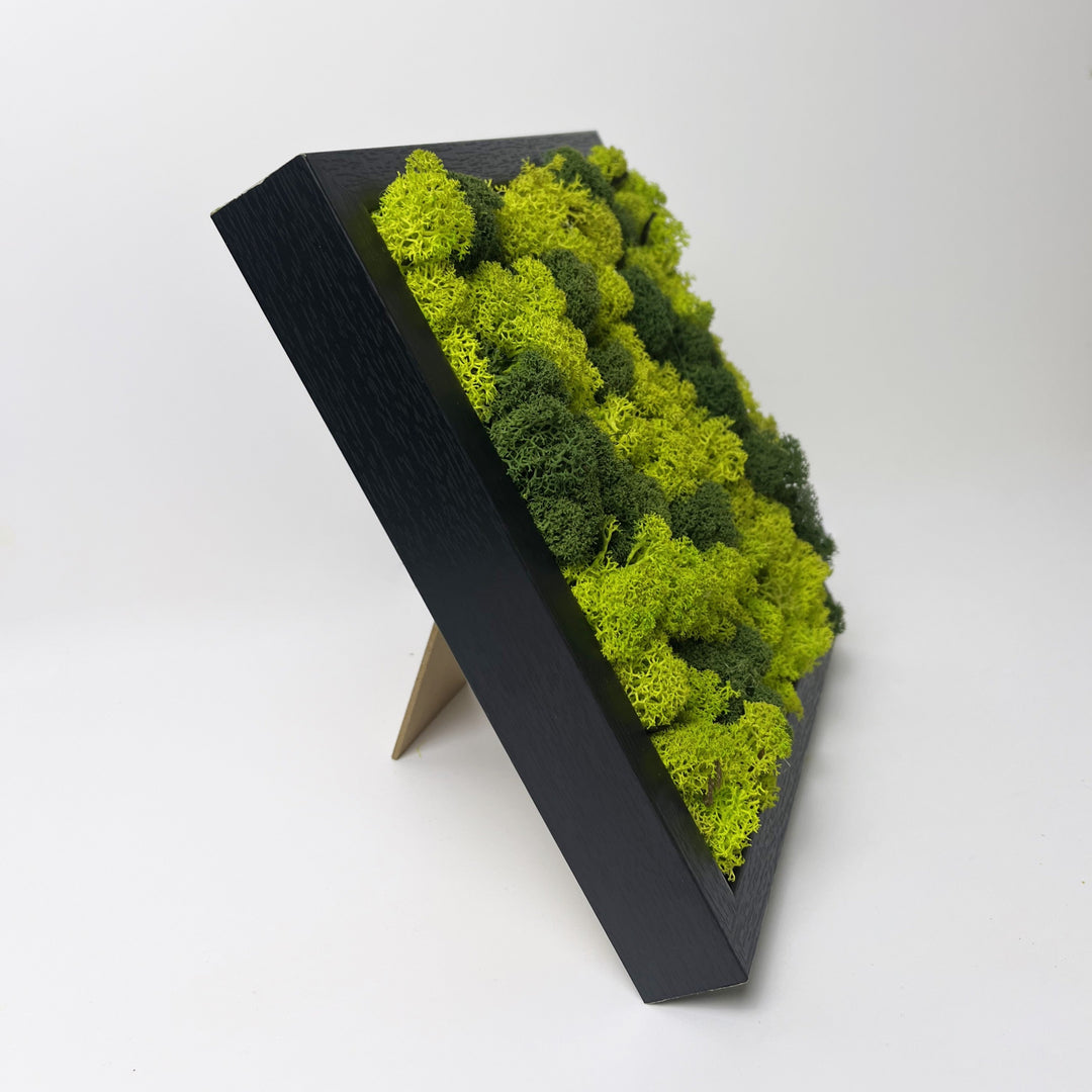 Mini premium moss picture