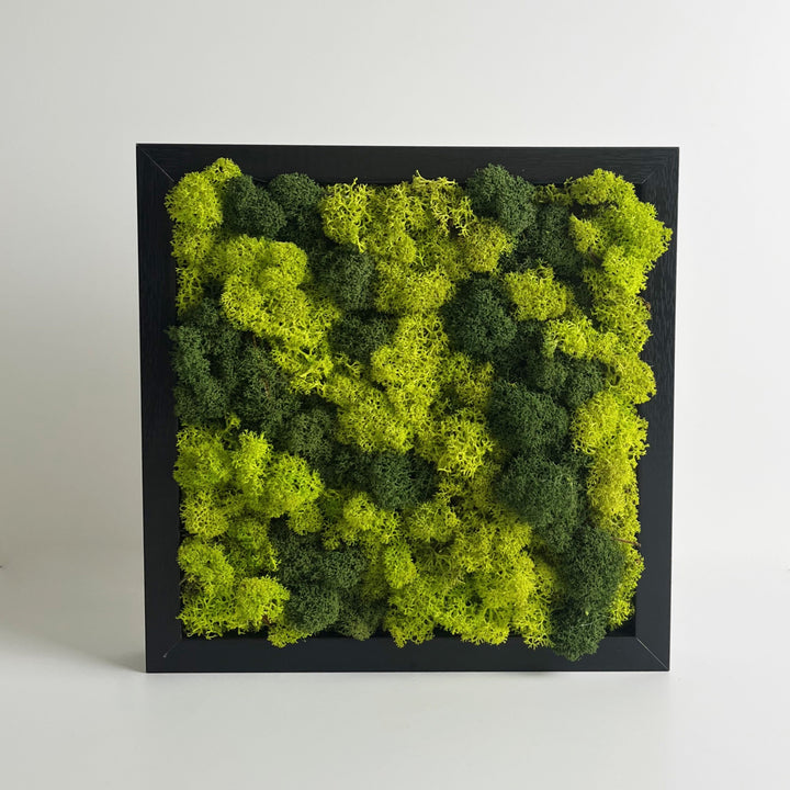 Mini premium moss picture