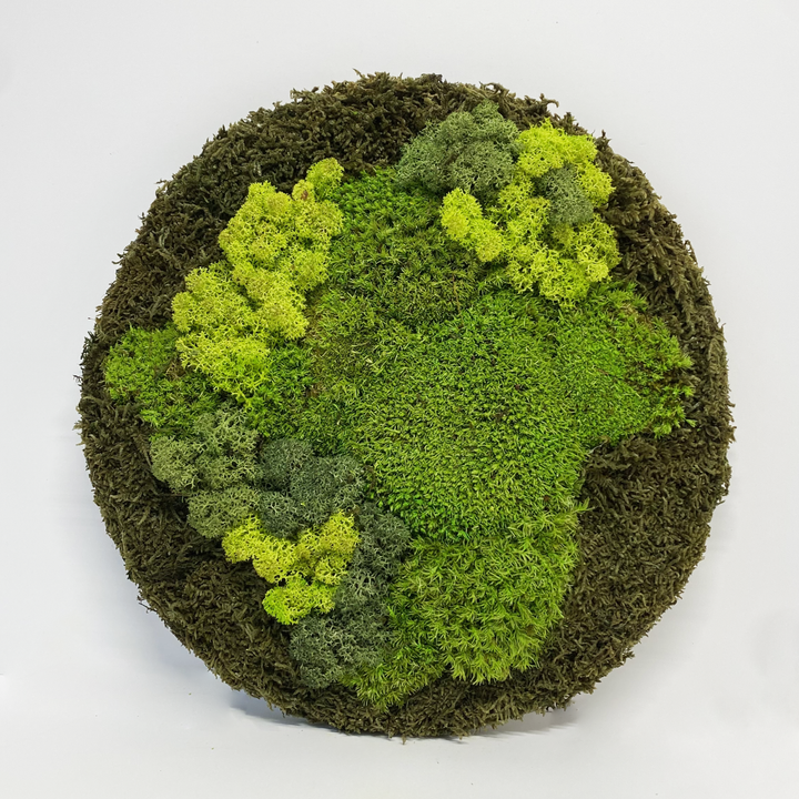 Premium krog iz mahu