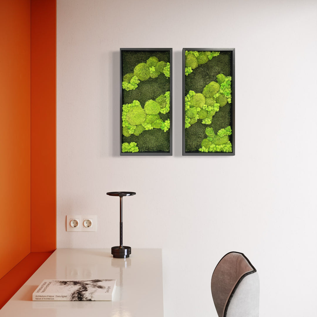 moss picture line contrast ball moss nature forest image flat moss deer moss, combination of two pictures in kids room for calming and relaxing vibe.