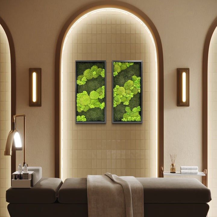 moss picture line contrast ball moss nature forest image flat moss deer moss, combination of two pictures in massage room for calming vibe