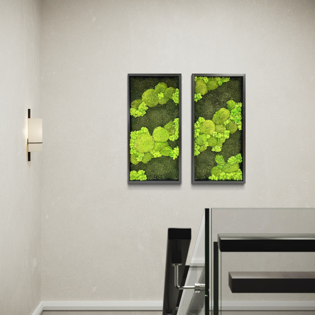 moss picture line contrast ball moss nature forest image flat moss deer moss, combination of two pictures in house hall