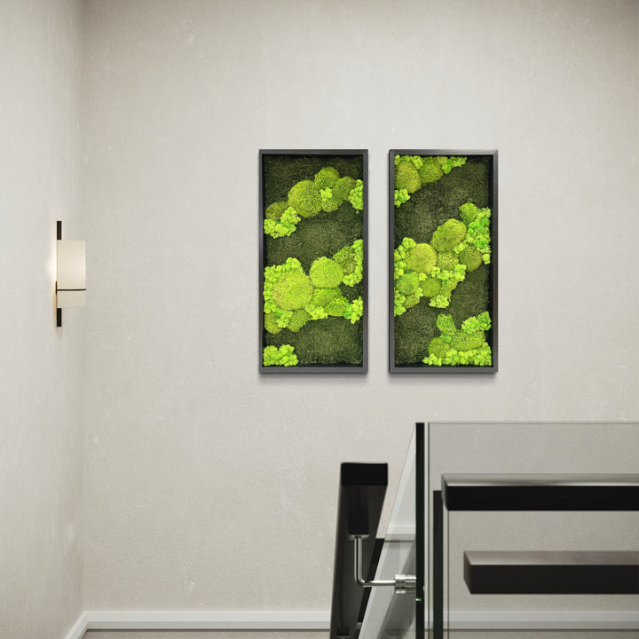 moss picture line contrast ball moss nature forest image flat moss deer moss, combination of two pictures in house hall