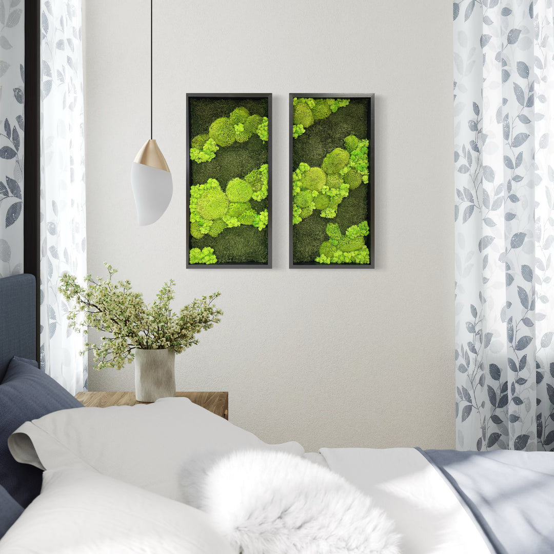 moss picture line contrast ball moss nature forest image flat moss deer moss, combination of two pictures in bed room