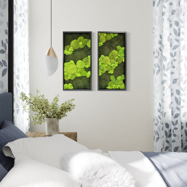 moss picture line contrast ball moss nature forest image flat moss deer moss, combination of two pictures in bed room