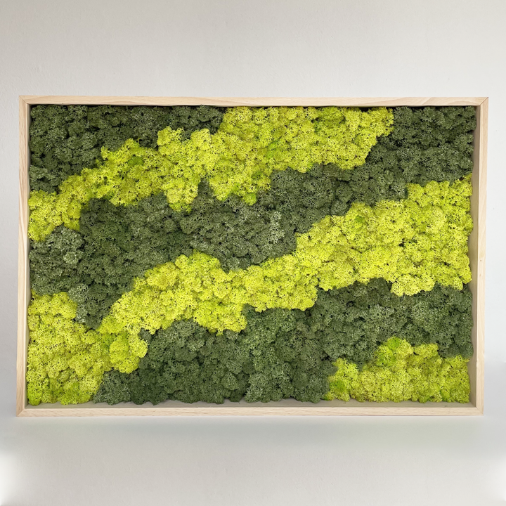 Moss picture