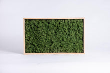 Load image into Gallery viewer, Slika iz mahu mah jelenov lišaj zelena stena živa stena zelene stene IKO9 dekorativni mah
