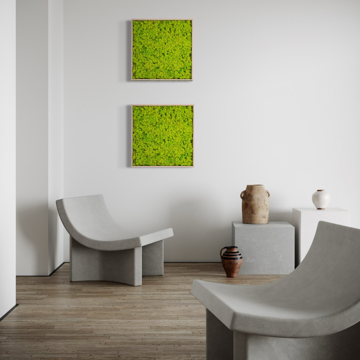 Slika od mahovine s okvirom 50x50cm