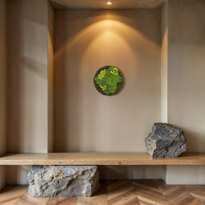 Premium krog iz mahu