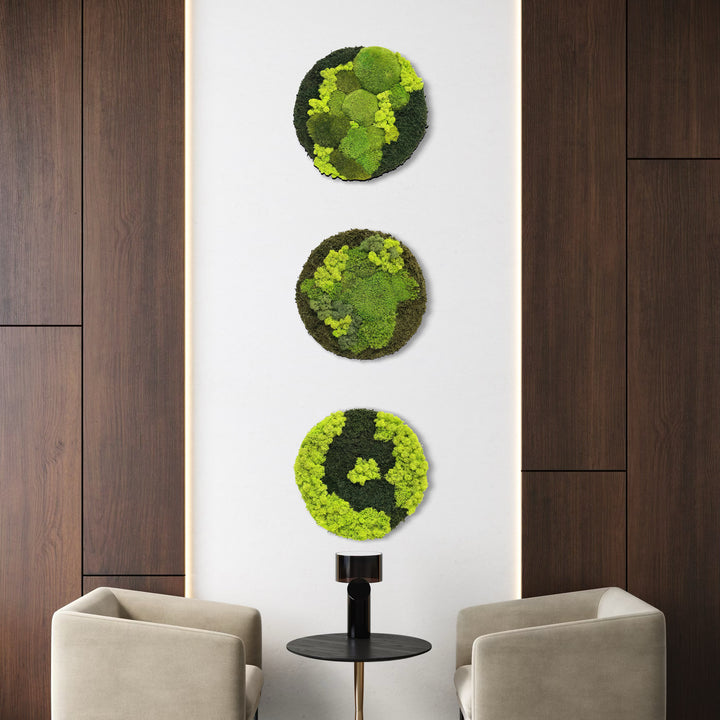 Premium krog iz mahu