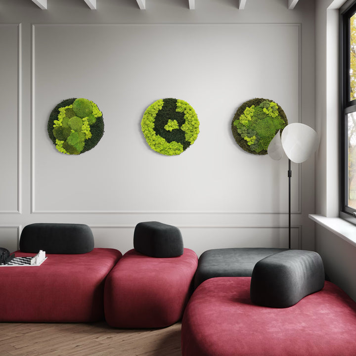 Premium krog iz mahu