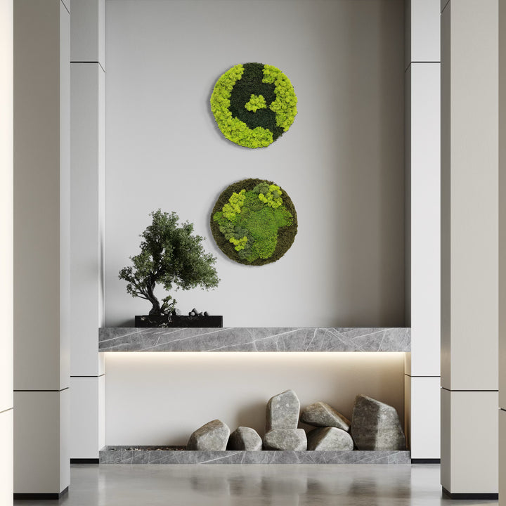 Premium krog iz mahu