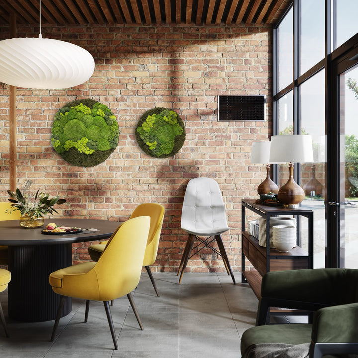 Premium krog iz mahu