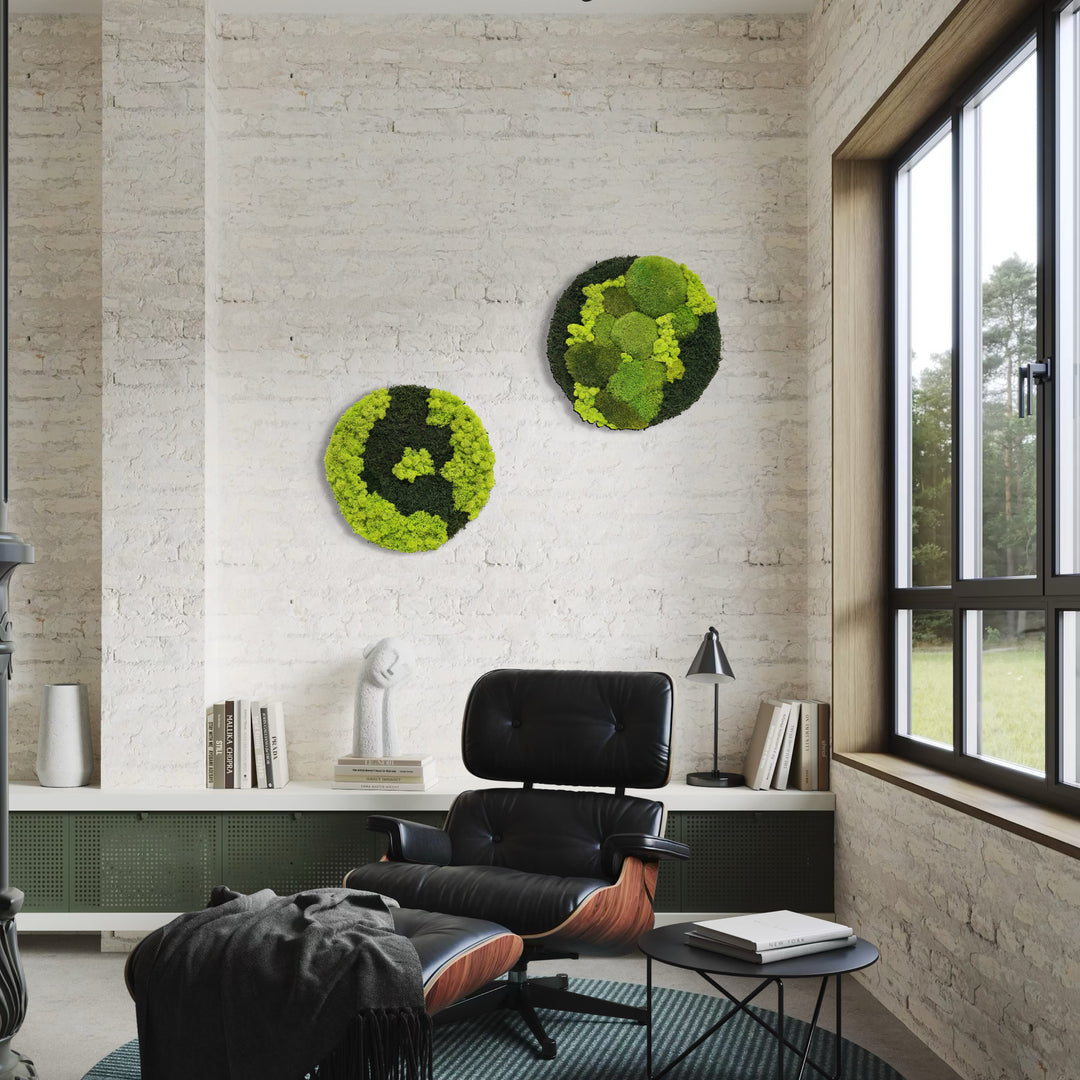 Premium krog iz mahu