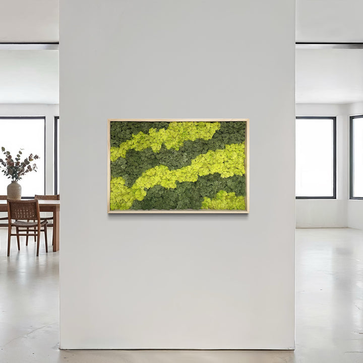 Moss picture