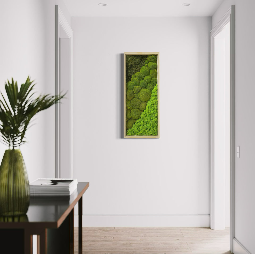 Premium Moss Picture "Sora"