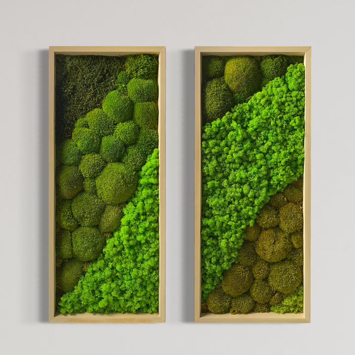 Premium "twin" pictures combination - 2 pieces