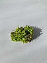 Load image into Gallery viewer, Jelenov lišaj - spring green - 300g pakiranje
