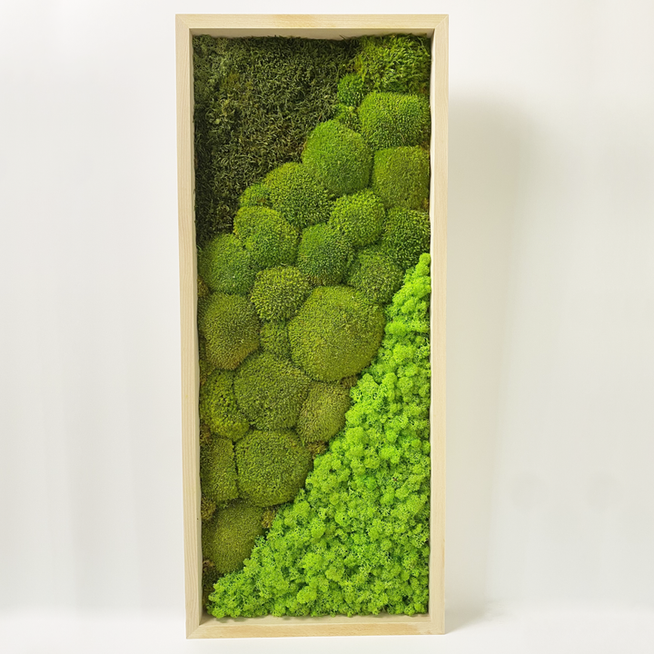 Premium Moss Picture "Sora"