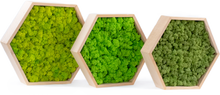 Load image into Gallery viewer, Hexagon Beehive without moss 33x29cm
