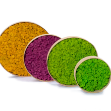Load image into Gallery viewer, Moss circle 24 cm with frame
