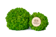 Load image into Gallery viewer, Moss ball 17cm
