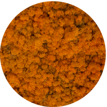 Load image into Gallery viewer, Moss circle 80 cm without frame
