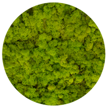 Load image into Gallery viewer, Moss ball 17cm
