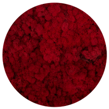 Load image into Gallery viewer, Moss circle 80 cm without frame
