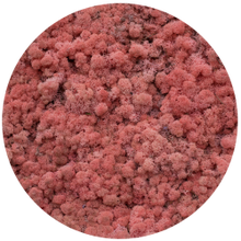 Load image into Gallery viewer, Moss ball 17cm
