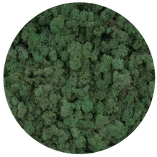 Load image into Gallery viewer, Moss ball 17cm
