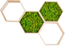Load image into Gallery viewer, Hexagon Beehive with moss 33x29cm
