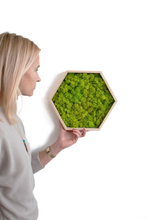 Load image into Gallery viewer, Hexagon Beehive without moss 33x29cm
