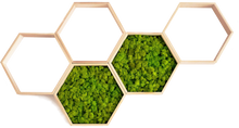 Load image into Gallery viewer, Hexagon Beehive without moss 33x29cm

