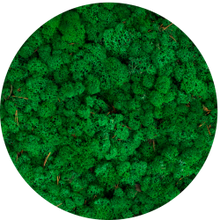 Load image into Gallery viewer, dekorativni mah krogla iz mahu mah jelenov lišaj reindeer moss zelena stena živa stena zelene stene IKO9
