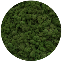 Load image into Gallery viewer, Moss circle 50 cm without frame
