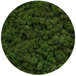 mah, stena iz mahu, moos, mooswand, moos wand, moosbild, moss, mosswall, wände mit moos begrünen, vertical green design