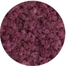 Load image into Gallery viewer, Moss ball 17cm
