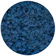 Load image into Gallery viewer, Moss circle 24 cm with frame
