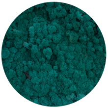 Load image into Gallery viewer, Moss ball 17cm
